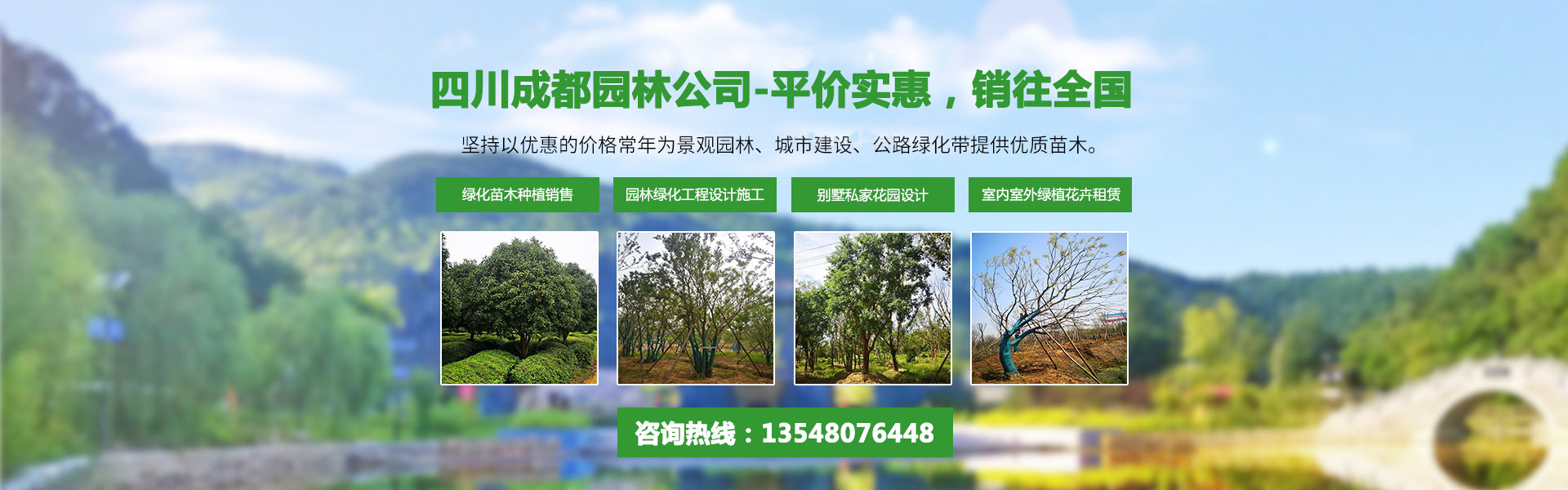 綠化苗木