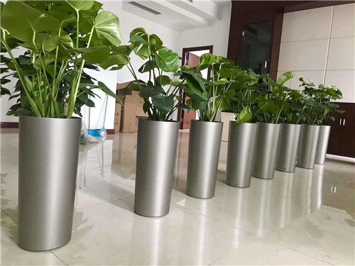 金屬盆器綠植租賃擺放效果